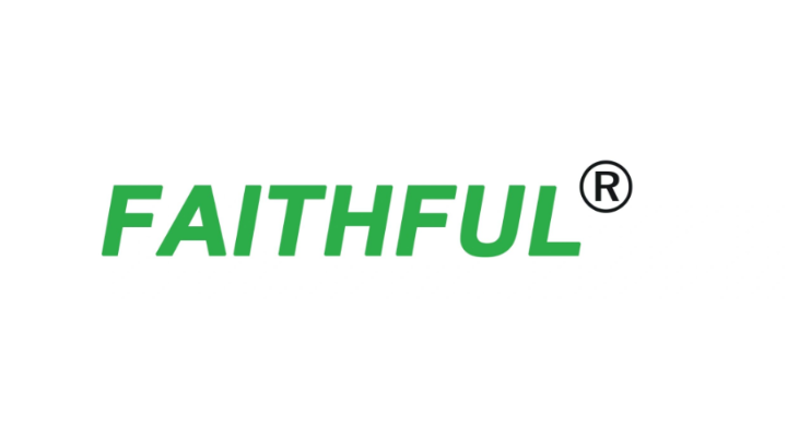 FAITHFUL INSTRUMENT (HEBEI) CO.,LTD logo