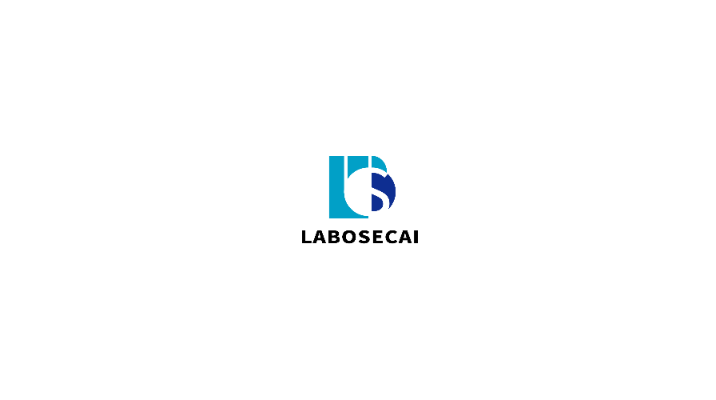 NANJING LAIBOSAIC INTELLIGENT TECHNOLOGY CO., LTD logo