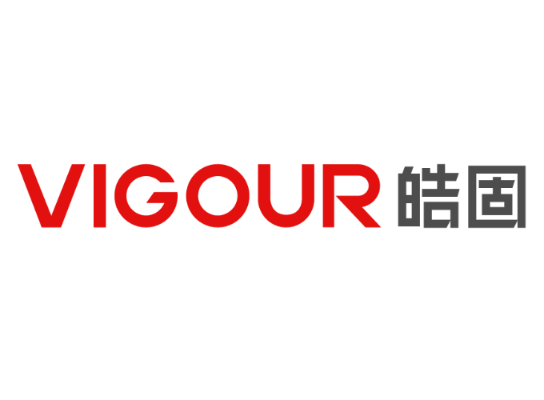 Shanghai Vigour Technologies Co., Ltd logo