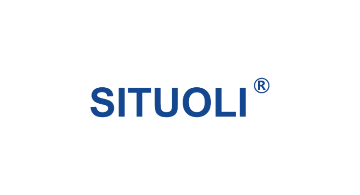 JIANGSU SITUOLI INSTRUMENT LTD. logo