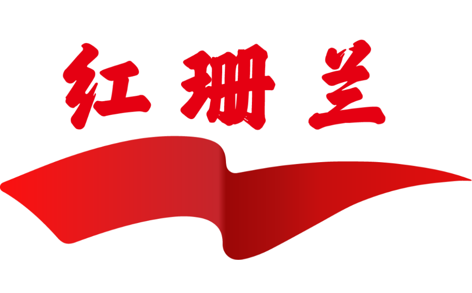Shanghai Dream Space Culture Technology Co., Ltd. logo