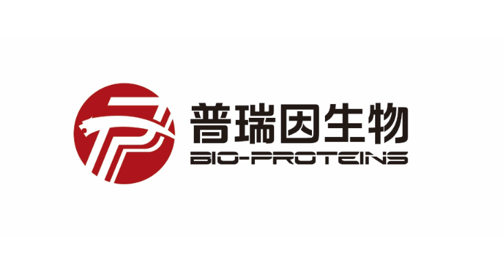 Beijing Protease Biotech Co.,Ltd logo
